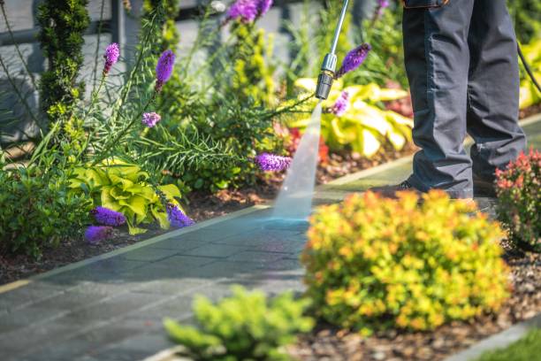 Best Spring Cleaning  in Carrollton, TX