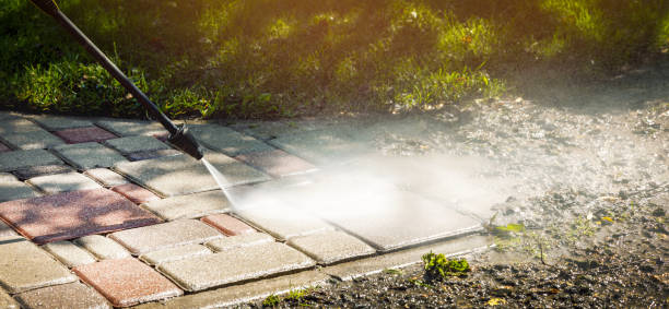 Best Dumpster Area Cleaning  in Carrollton, TX